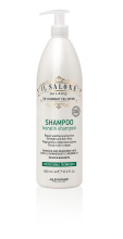 Кератиновый шампунь для восстановления поврежденных волос ISM KERATIN SHAMPOO 1000 мл IL SALONE MILANO 26524 Кератиновый шампунь для восстановления поврежденных волос ISM KERATIN SHAMPOO 1000 мл IL SALONE MILANO 26524